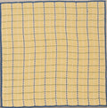 Trail Yellow