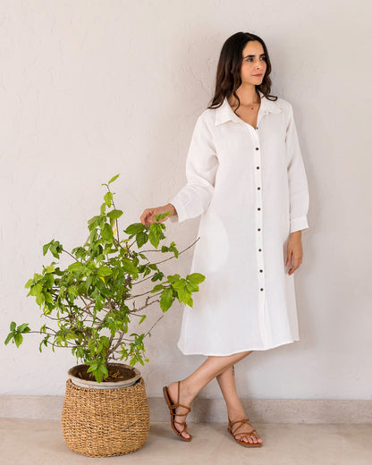 Linen Bray Shirt Dress