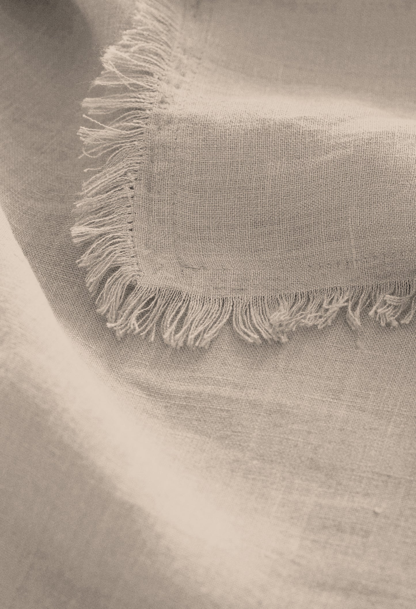 Linen Fringe Me Good Napkin Set