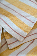 Linen Segue Placemat Set